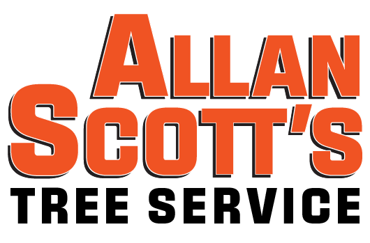 Allan Scott's Tree Service
